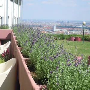 Hostel Palace Schlossherberge, Wien